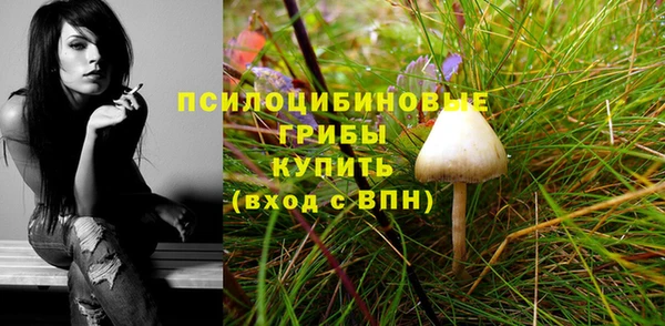 спиды Гусиноозёрск
