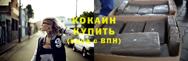 дживик Гусь-Хрустальный