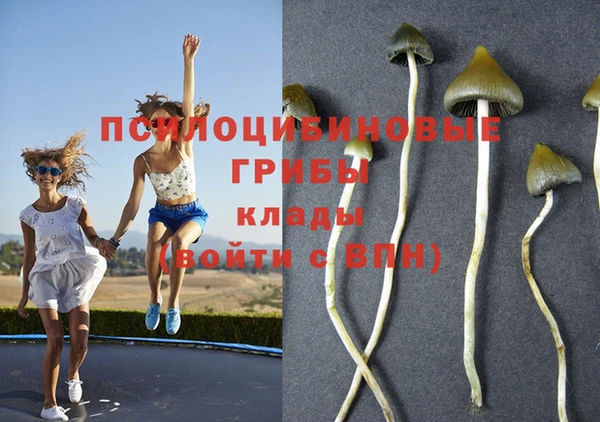 соль курить ск Гусев