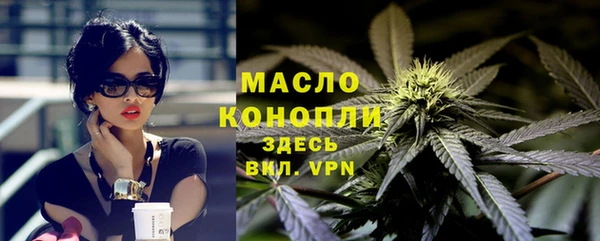дживик Гусь-Хрустальный