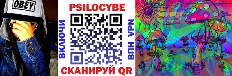 Купить  Красногорск  Псилоцибиновые грибы MAGIC MUSHROOMS 